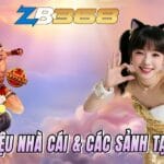 ZB368 Là Gì? Giới Thiệu Nhà Cái & Các Sảnh Chính