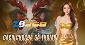 Cách Chơi Đá Gà Thomo Trực Tuyến Tại ZB368