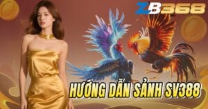 Hướng Dẫn Sảnh SV388: Đăng Ký, Nạp Tiền & Chơi Đá Gà Thomo