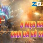 5 Mẹo Chơi Đá Gà SV388 Hiệu Quả