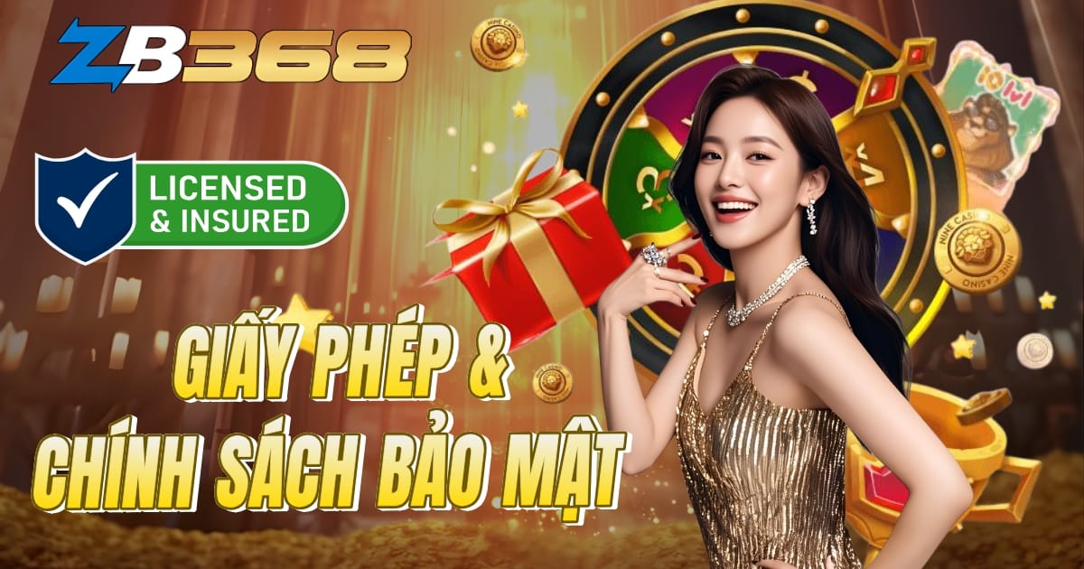 Giấy Phép & Chính Sách Bảo Mật Của ZB368